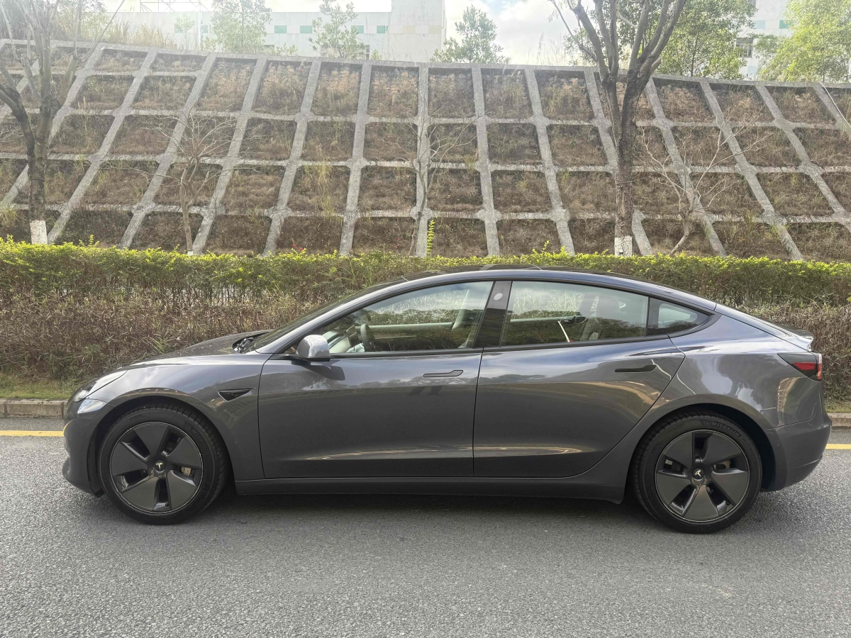 2021年4月特斯拉 Model 3  2021款 標(biāo)準(zhǔn)續(xù)航后驅(qū)升級(jí)版 3D6