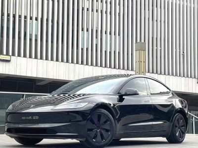 2024年2月 特斯拉 Model 3 長(zhǎng)續(xù)航全輪驅(qū)動(dòng)版圖片