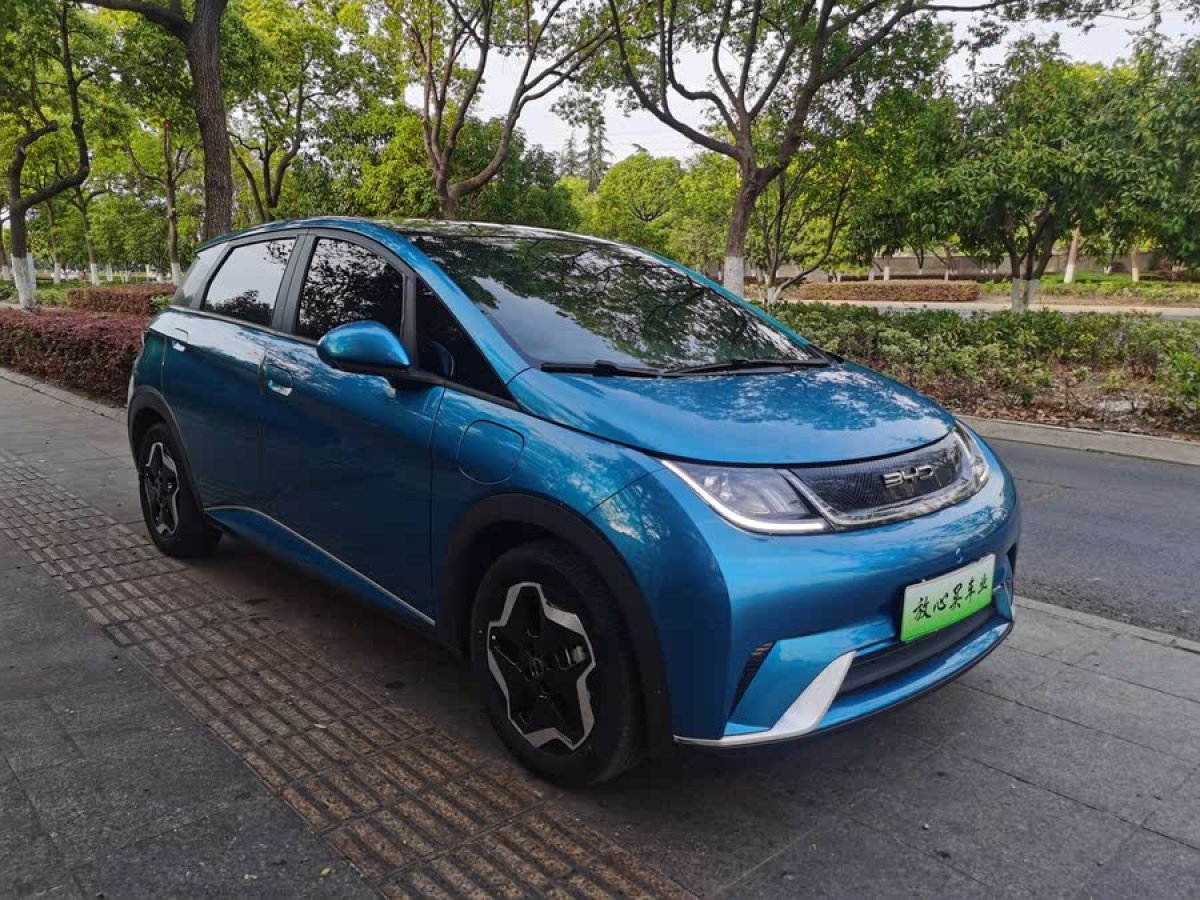 比亞迪 海豚  2021款 405km 時(shí)尚版圖片