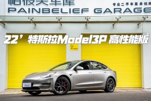 Model 3 特斯拉 Performance高性能全輪驅(qū)動(dòng)版