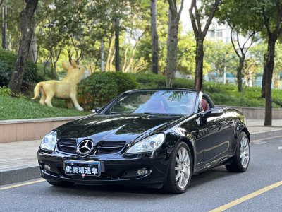 2008年2月 奔馳 奔馳SLK級(進口) SLK 350圖片