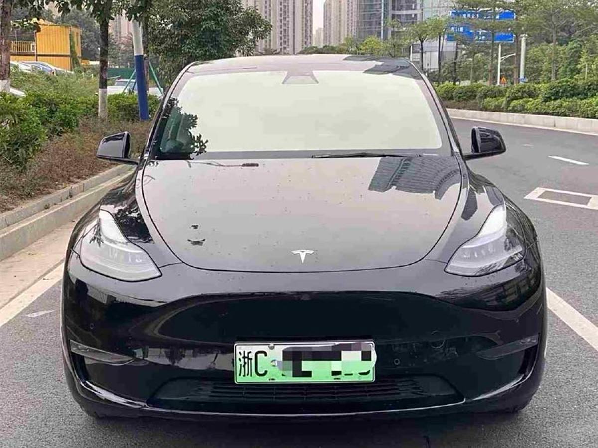 特斯拉 Model 3  2021款 改款 標(biāo)準(zhǔn)續(xù)航后驅(qū)升級(jí)版圖片