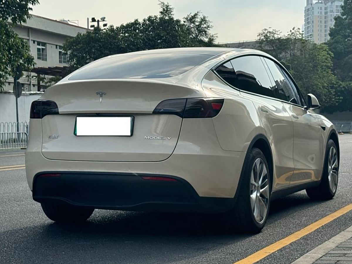 特斯拉 Model 3  2022款 后輪驅(qū)動版圖片