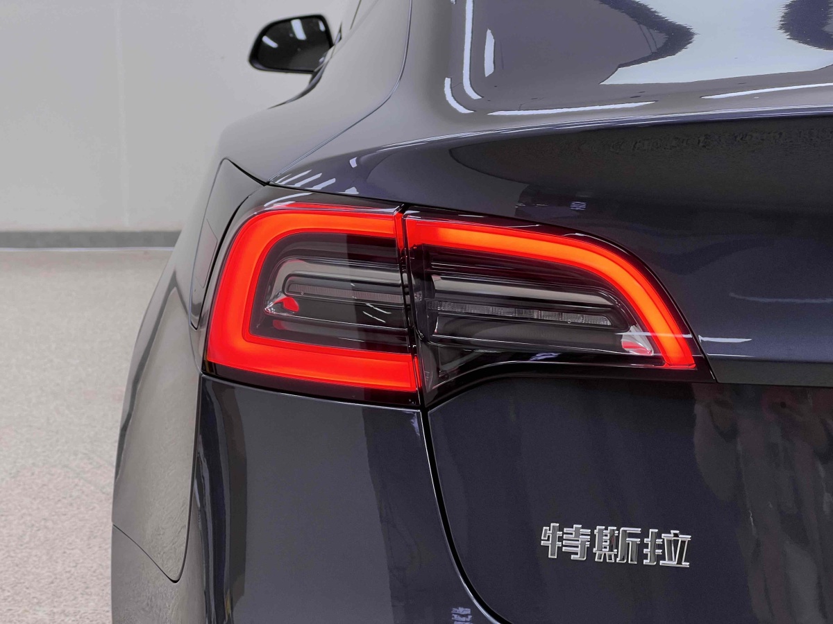 特斯拉 Model 3  2021款 標(biāo)準(zhǔn)續(xù)航后驅(qū)升級版 3D6圖片