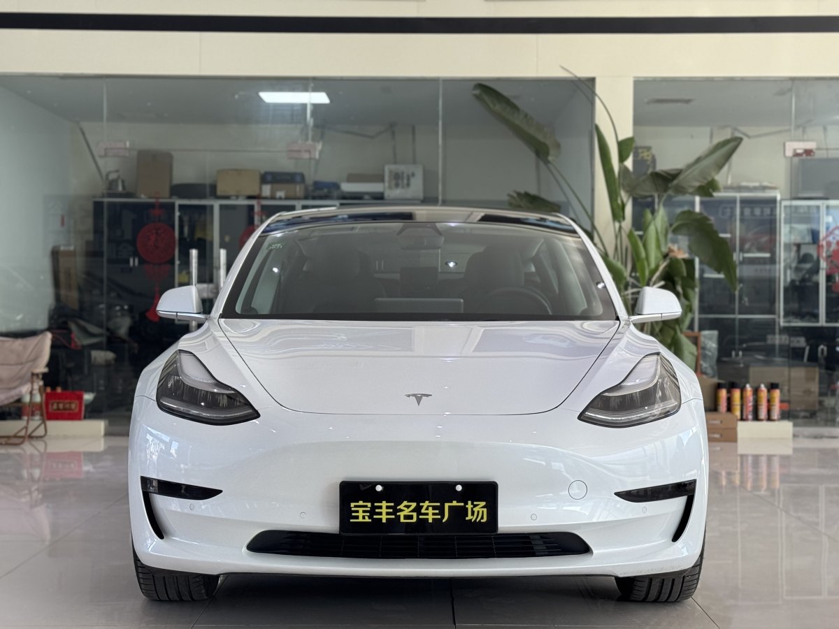 特斯拉 Model 3  2019款 標(biāo)準(zhǔn)續(xù)航后驅(qū)升級版圖片