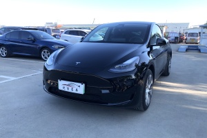 Model Y 特斯拉 改款 长续航后轮驱动版