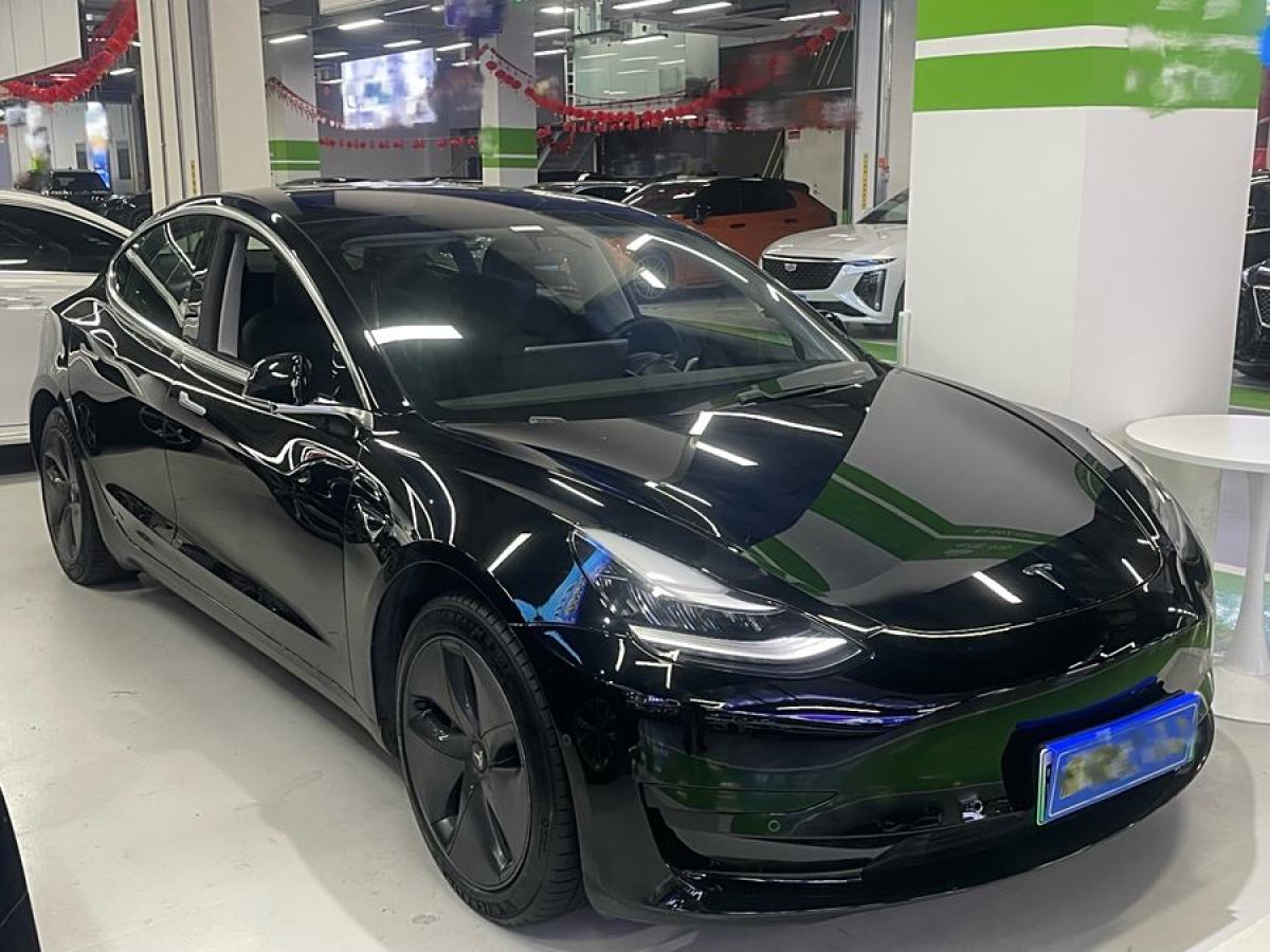 特斯拉 Model 3  2021款 改款 標(biāo)準(zhǔn)續(xù)航后驅(qū)升級版圖片