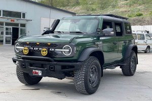 福特烈馬 福特 2.3T 大沼澤地