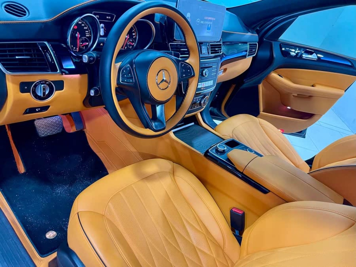 奔馳 奔馳GLE  2016款 GLE 320 4MATIC 豪華型圖片