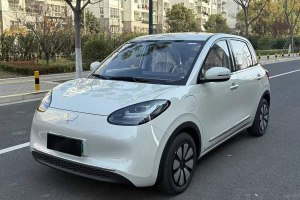 五菱繽果 五菱 333km 悅享款