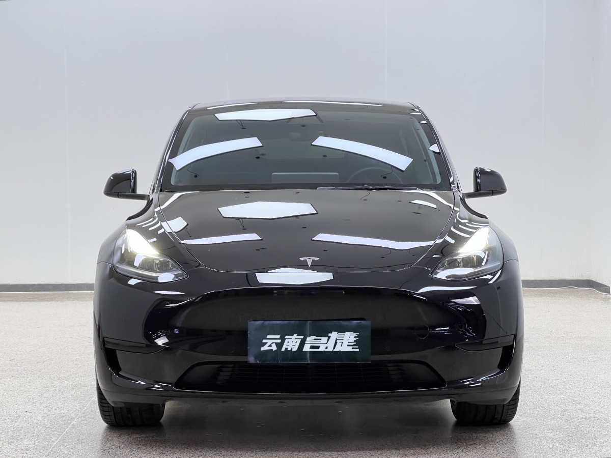 特斯拉 Model Y  2022款 后輪驅(qū)動(dòng)版圖片