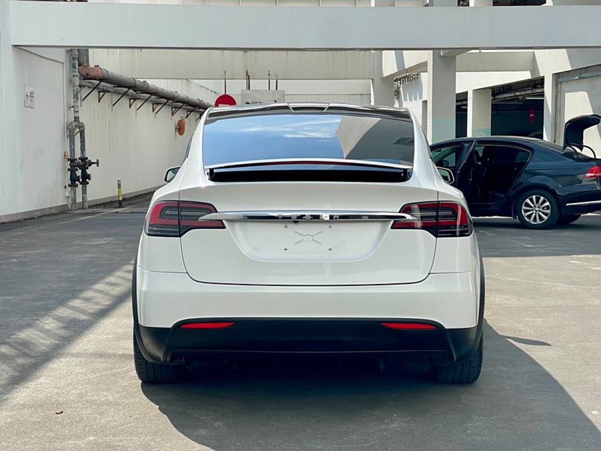 特斯拉 Model X  2019款 長續(xù)航版圖片