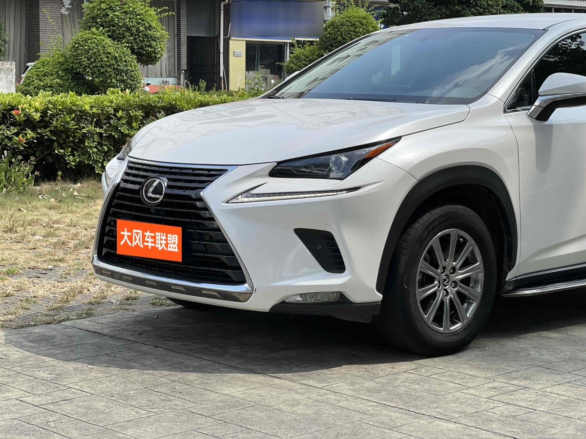 雷克薩斯 NX  2020款 300 前驅 鋒行版 國V圖片