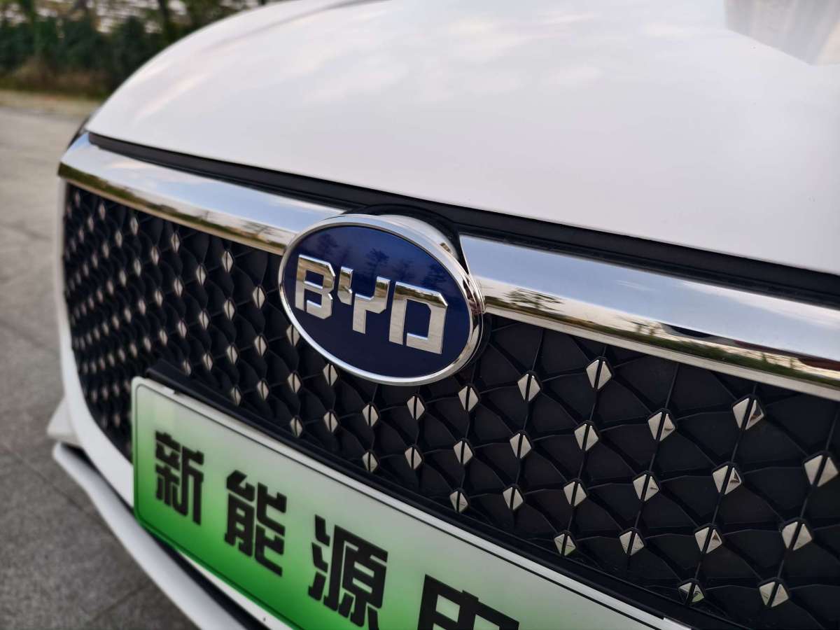比亚迪 e2  2019款 高续航版 耀・豪华型图片