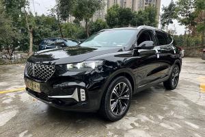 VV6 WEY 2.0T 两驱智护+