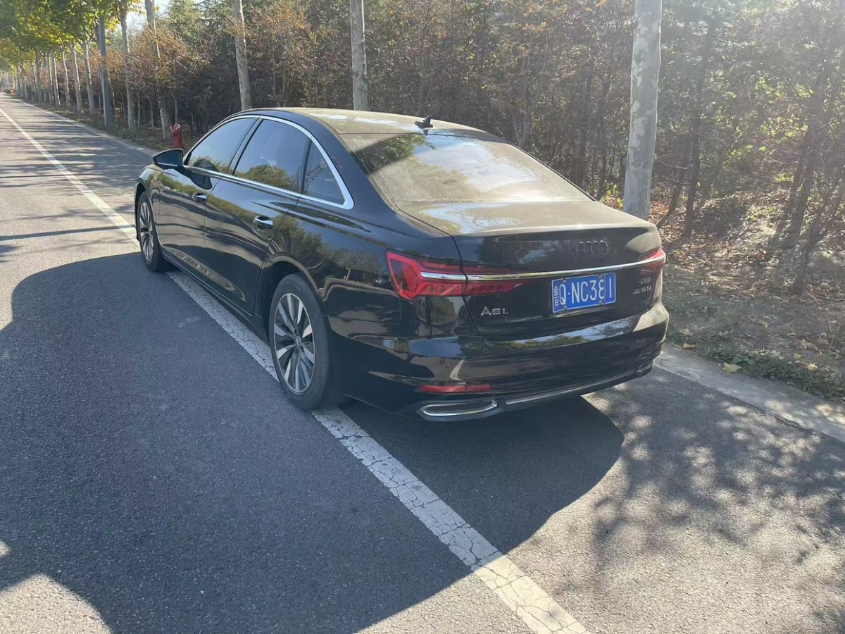 奧迪 奧迪A6L  2019款 45 TFSI 臻選致雅型圖片