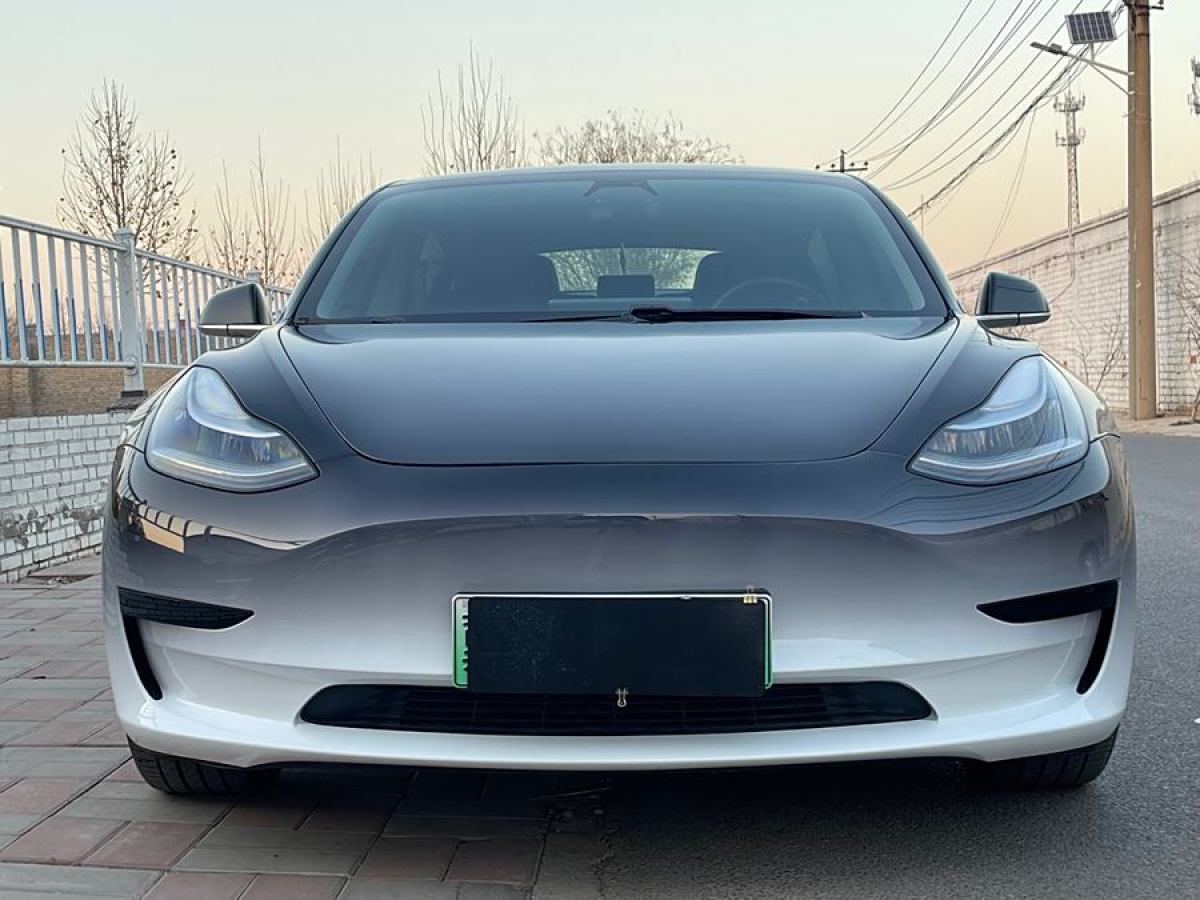 特斯拉 Model 3  2019款 標(biāo)準(zhǔn)續(xù)航后驅(qū)升級(jí)版圖片