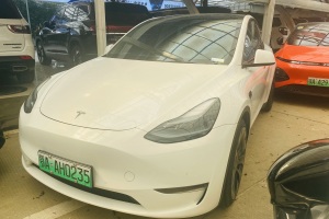 Model Y 特斯拉 Performance高性能全輪驅(qū)動(dòng)版