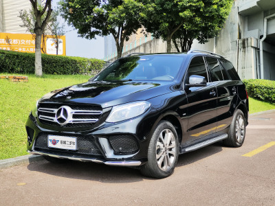 2019年1月 奔馳 奔馳GLE(進(jìn)口) GLE 320 4MATIC 動(dòng)感型臻藏版圖片