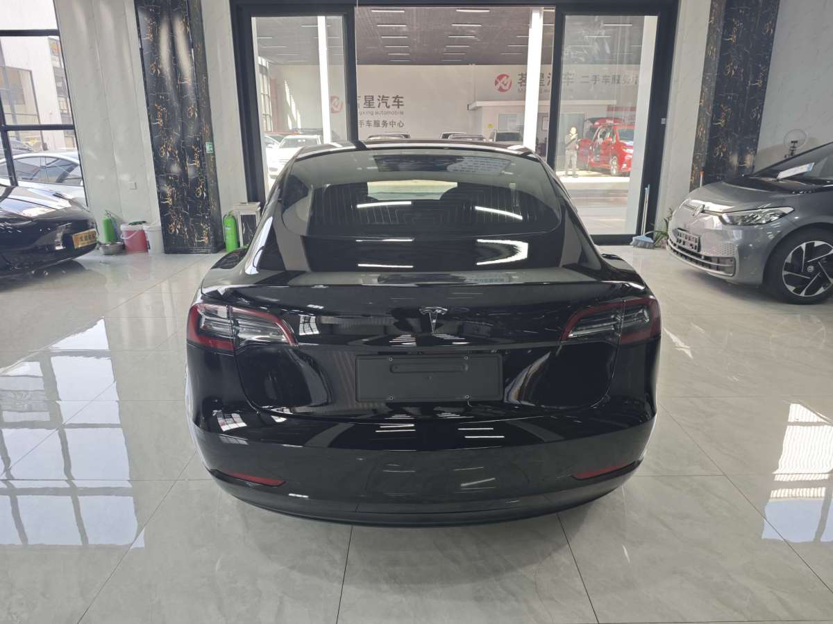 特斯拉 Model Y  2020款 標(biāo)準(zhǔn)續(xù)航后驅(qū)升級版圖片