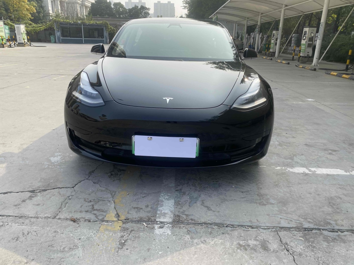 特斯拉 Model 3  2020款 改款 標(biāo)準(zhǔn)續(xù)航后驅(qū)升級(jí)版圖片