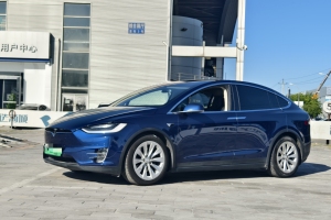 Model X 特斯拉 Model X 100D 长续航版