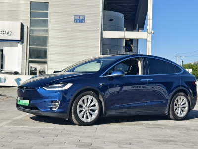 2018年11月 特斯拉 Model X Model X 100D 长续航版图片