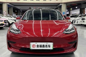 Model 3 特斯拉 标准续航后驱升级版