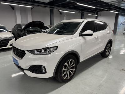 2019年5月 WEY VV6 2.0T 兩驅(qū)超豪型 國VI圖片