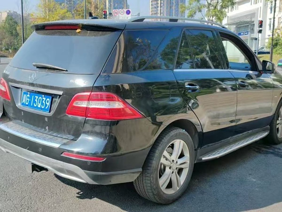 奔馳 奔馳M級(jí)  2010款 ML 350 4MATIC豪華型圖片