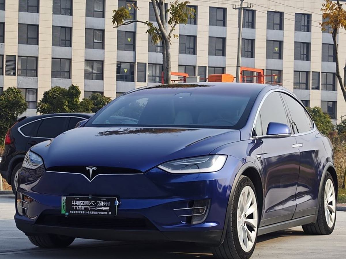 特斯拉 Model X  2017款 Model X 100D 長續(xù)航版圖片