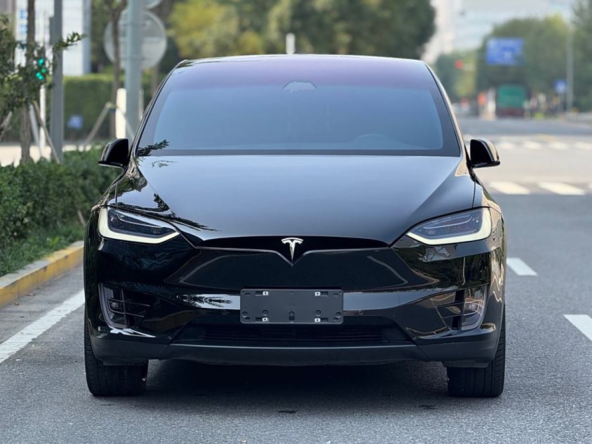 特斯拉 Model X  2020款 Performance 高性能版圖片