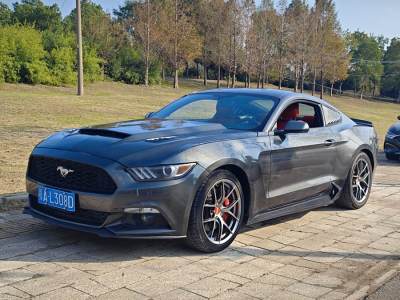 2015年8月 福特 Mustang(進(jìn)口) 2.3T 50周年紀(jì)念版圖片