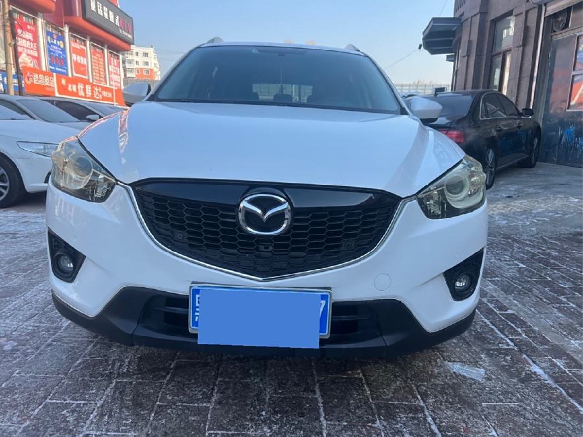 馬自達(dá) CX-5  2013款 2.0L 自動(dòng)四驅(qū)精英型圖片