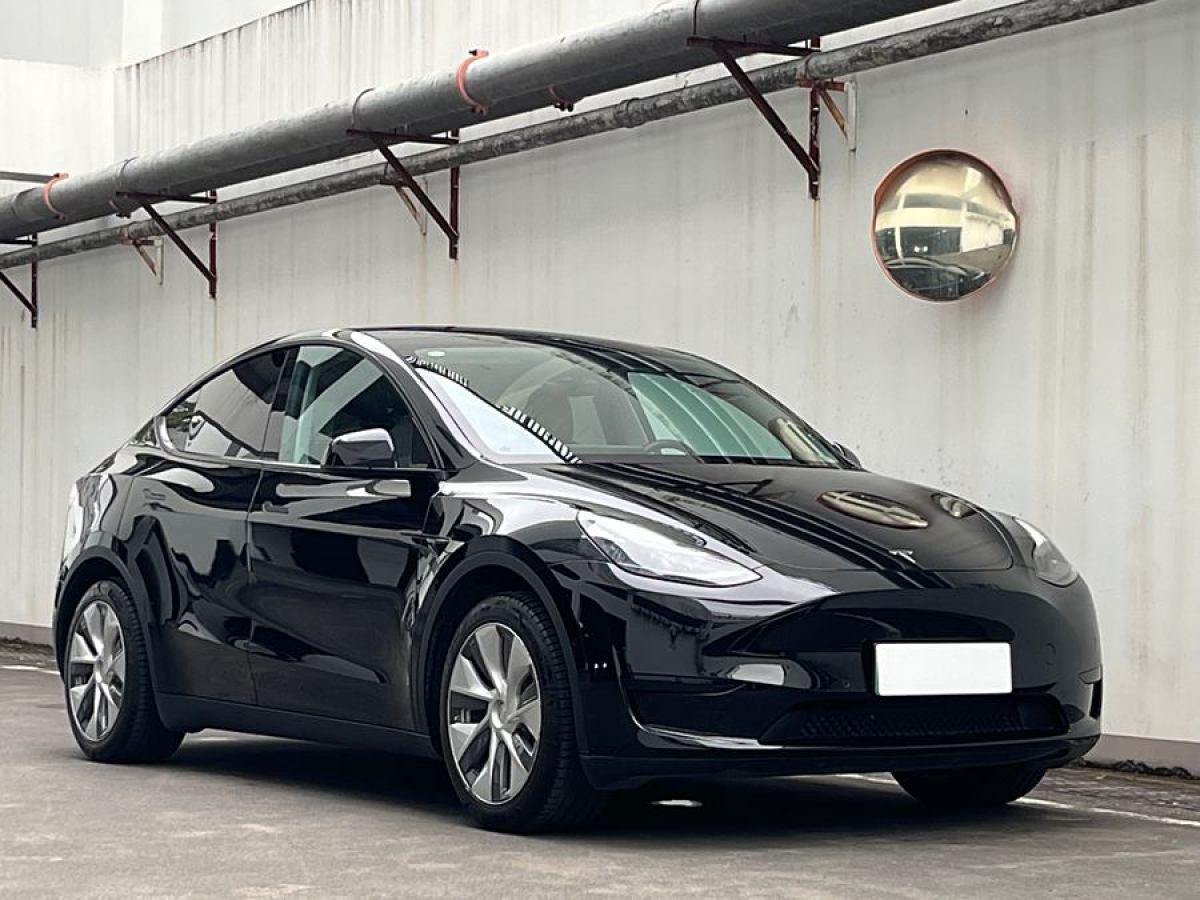 特斯拉 Model Y  2020款 改款 長續(xù)航后輪驅(qū)動版圖片