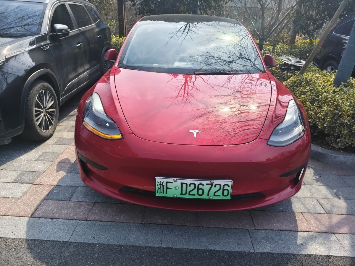 特斯拉 Model 3  2021款 標(biāo)準(zhǔn)續(xù)航后驅(qū)升級(jí)版 3D6圖片