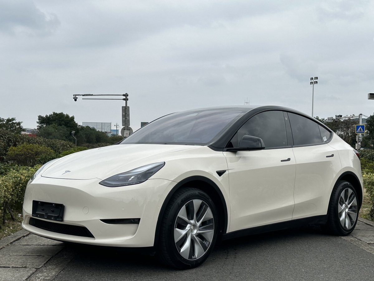 特斯拉 Model 3  2021款 改款 Performance高性能全輪驅(qū)動版圖片