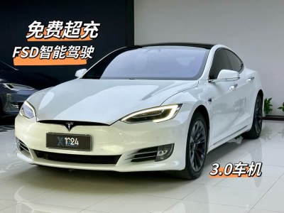 2019年7月 特斯拉 Model S Model S 100D 長(zhǎng)續(xù)航版圖片