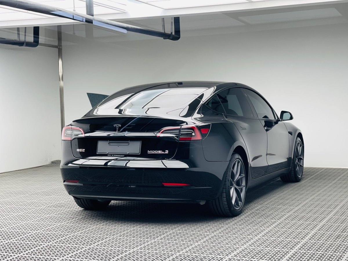 特斯拉 Model 3  2019款 Performance高性能全輪驅(qū)動(dòng)版圖片