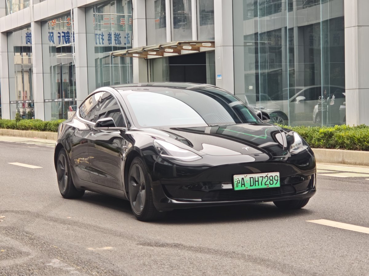 特斯拉 Model 3  2019款 標(biāo)準(zhǔn)續(xù)航后驅(qū)升級版圖片