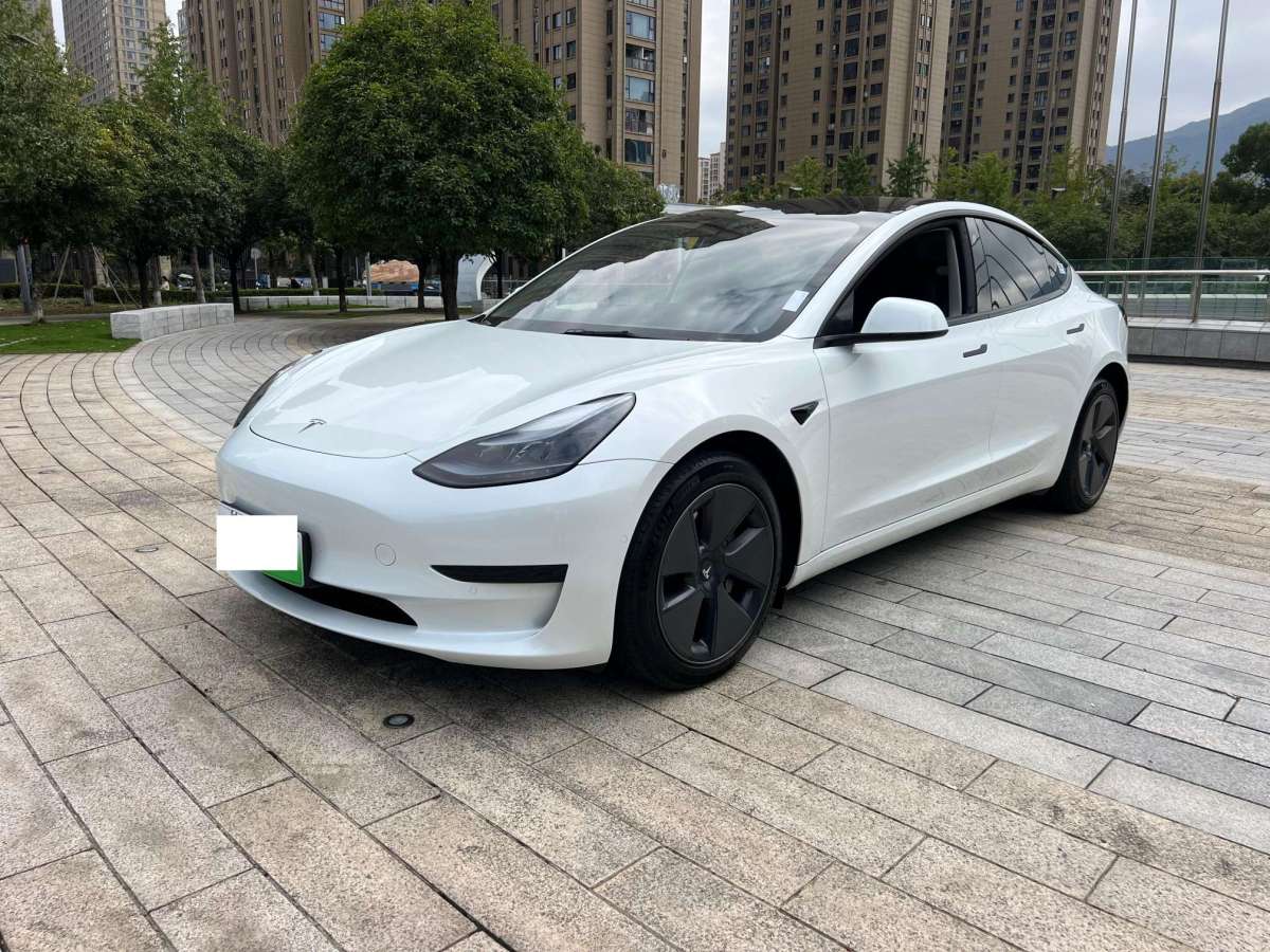 2022年3月特斯拉 Model Y  2021款 標(biāo)準(zhǔn)續(xù)航后驅(qū)升級版 3D6