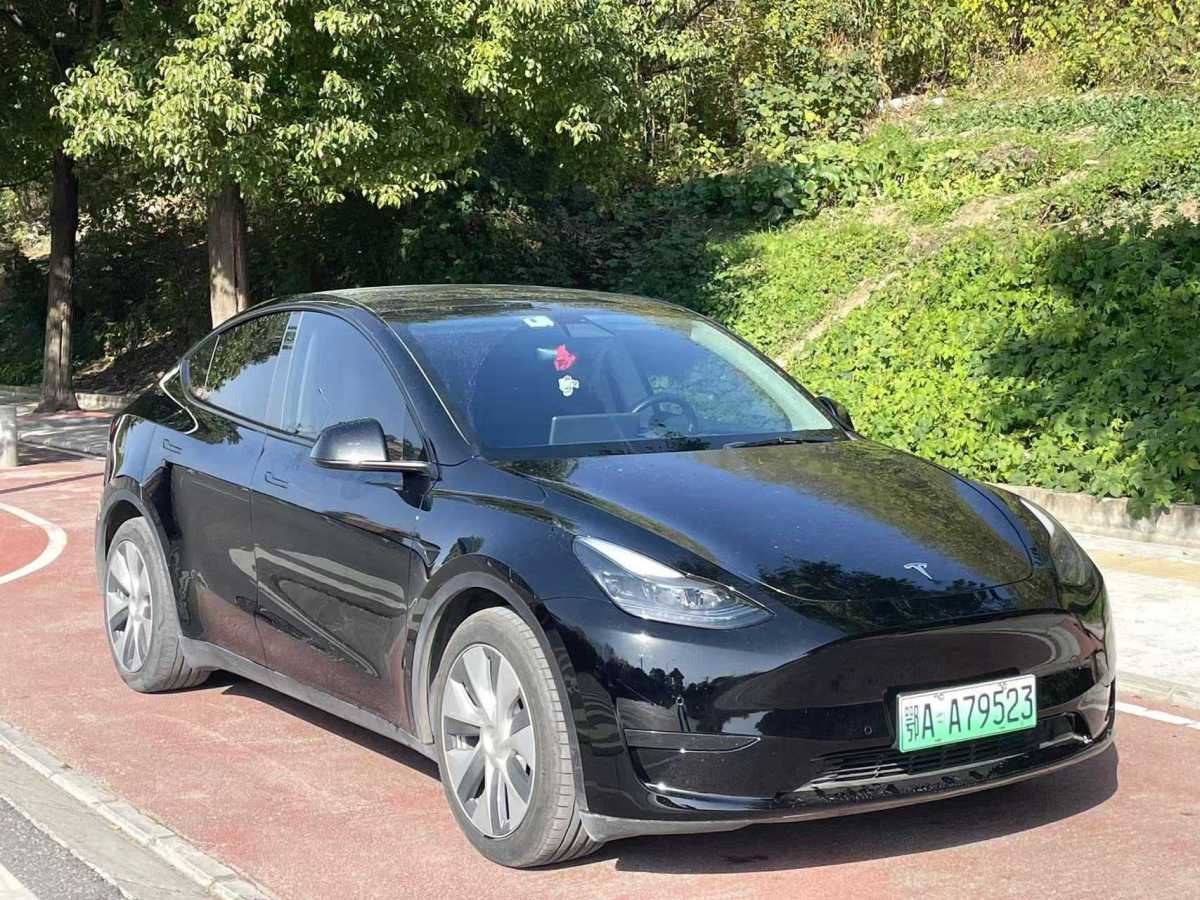 特斯拉 Model 3  2022款 后輪驅動版圖片