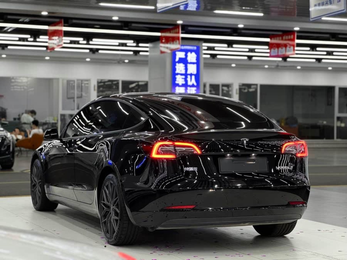 特斯拉 Model 3  2021款 改款 Performance高性能全輪驅(qū)動版圖片