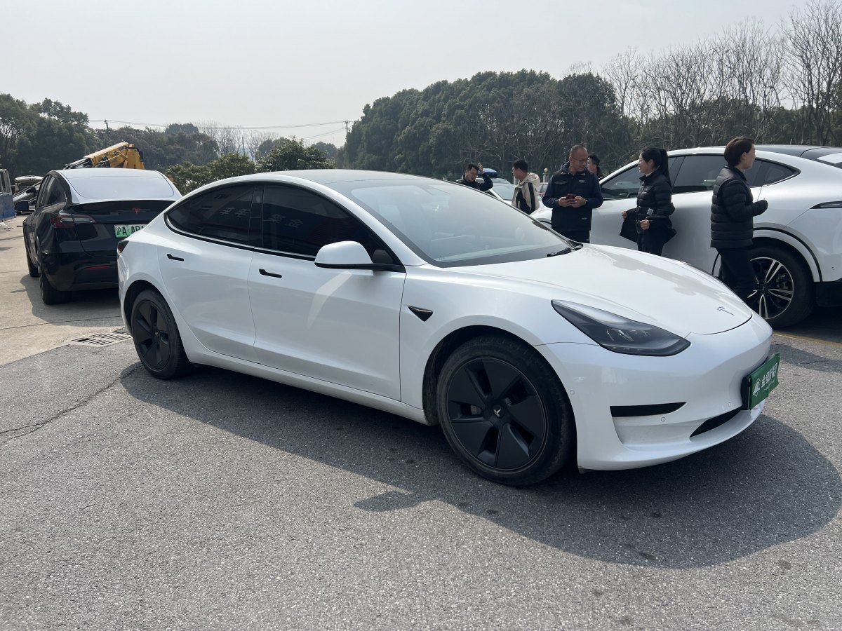 特斯拉 Model 3  2021款 標(biāo)準(zhǔn)續(xù)航后驅(qū)升級版 3D6圖片