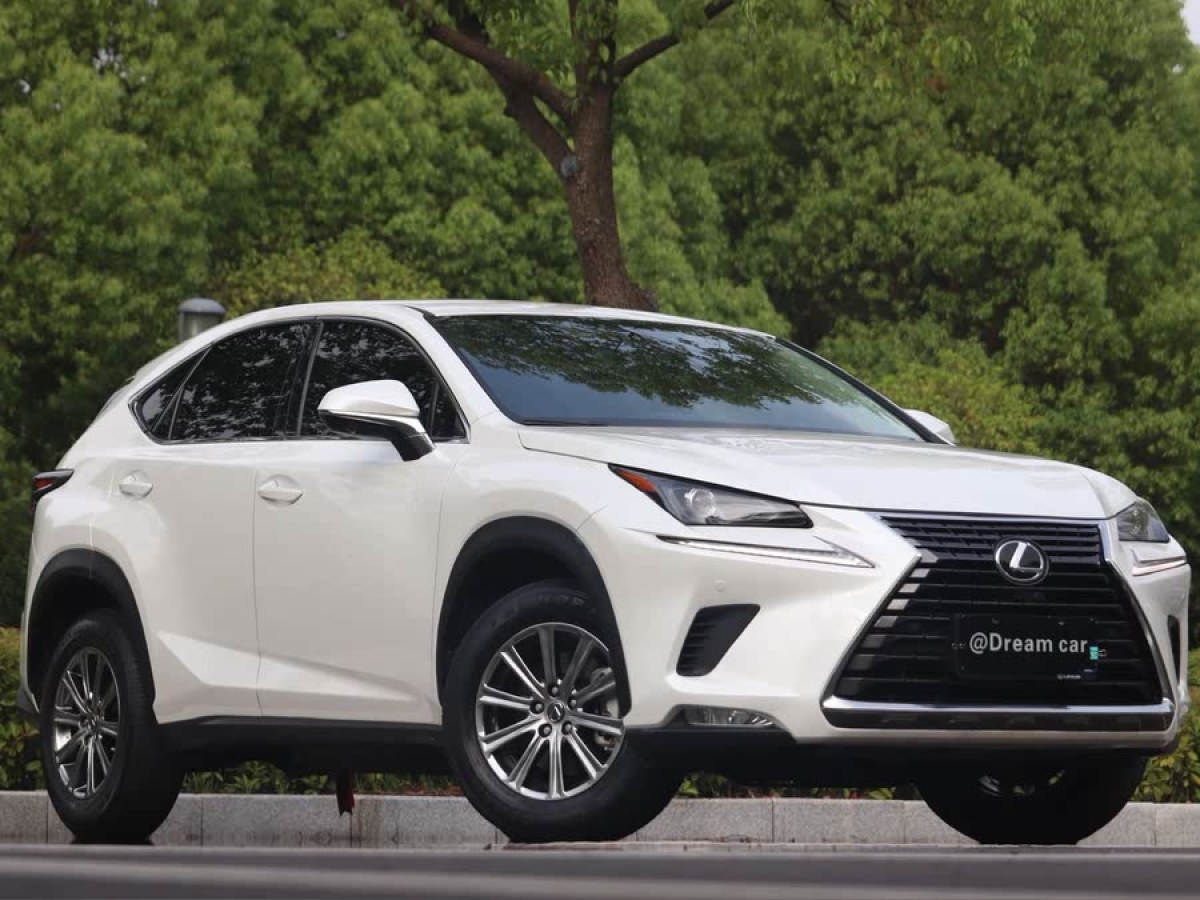 雷克薩斯 NX  2020款 200 前驅(qū) 鋒行版 國(guó)VI圖片