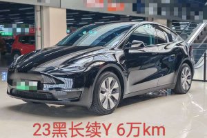 Model Y 特斯拉 改款 長(zhǎng)續(xù)航全輪驅(qū)動(dòng)版