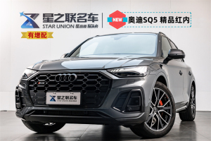 奧迪SQ5 21款  3.0 TFSI quattro  