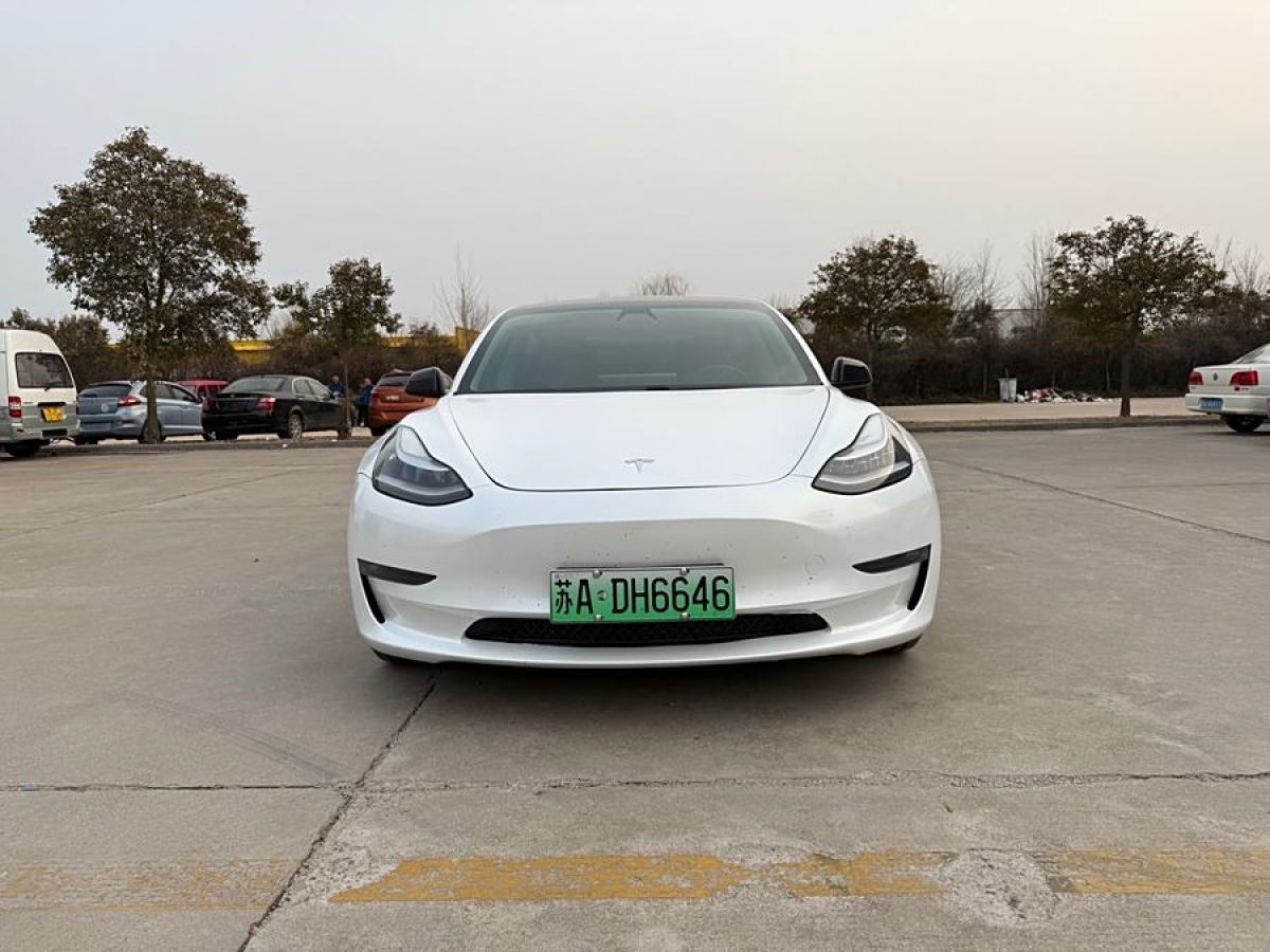 特斯拉 Model 3  2019款 長續(xù)航后驅(qū)版圖片