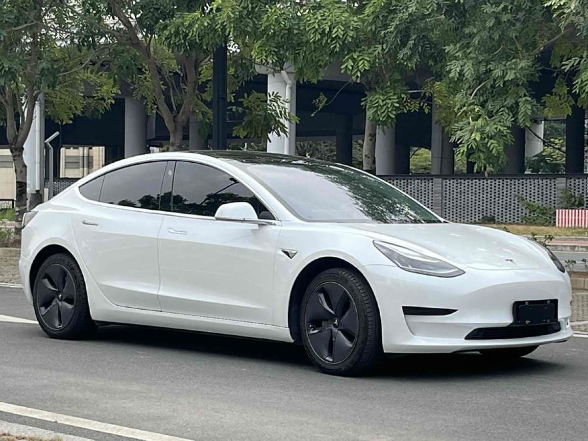 特斯拉 Model 3  2019款 標(biāo)準(zhǔn)續(xù)航后驅(qū)升級版圖片