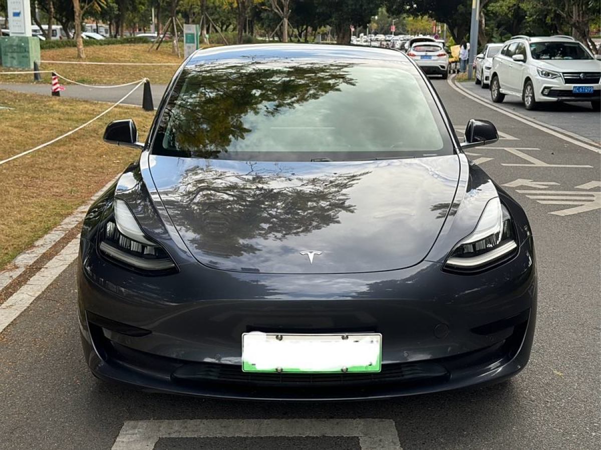 2020年10月特斯拉 Model 3  2020款 改款 標(biāo)準(zhǔn)續(xù)航后驅(qū)升級版